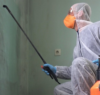 person in has-met suit spraying wall for mold remediation